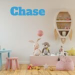 Custom Name Dragon Ball Font Nursery Wall Decal Vinyl Sticker