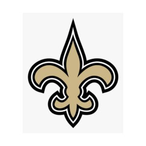 NFL Team Logos New Orleans Saints Painting Bedroom Living Room Wall Art Décor Matte Vertical Posters