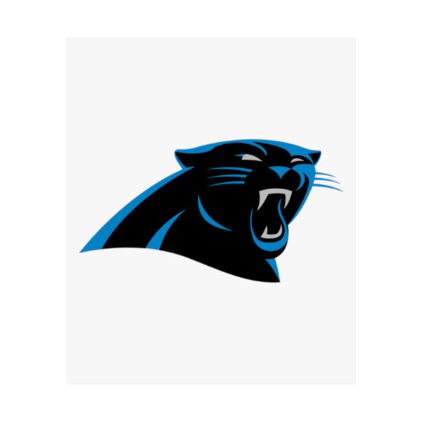NFL Team Logos Carolina Panthers Painting Bedroom Living Room Wall Art Décor Matte Vertical Posters