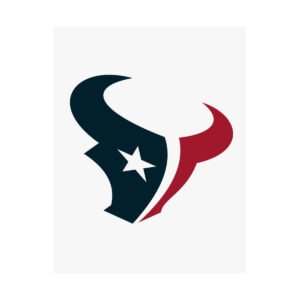 NFL Team Logos Houston Texans Painting Bedroom Living Room Wall Art Décor Matte Vertical Posters