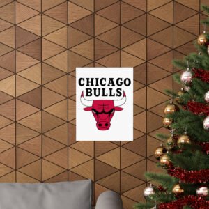 NBA Team Logos Chicago Bulls Painting Bedroom Living Room Wall Art Décor Matte Vertical Posters