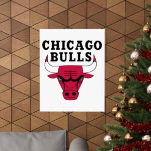 NBA Team Logos Chicago Bulls Painting Bedroom Living Room Wall Art Décor Matte Vertical Posters