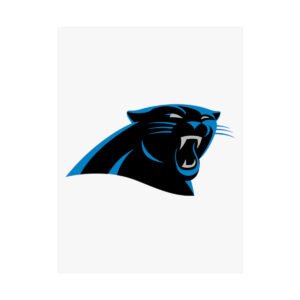 NFL Team Logos Carolina Panthers Painting Bedroom Living Room Wall Art Décor Matte Vertical Posters