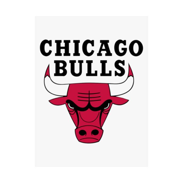 NBA Team Logos Chicago Bulls Painting Bedroom Living Room Wall Art Décor Matte Vertical Posters