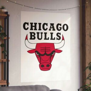 NBA Team Logos Chicago Bulls Painting Bedroom Living Room Wall Art Décor Matte Vertical Posters