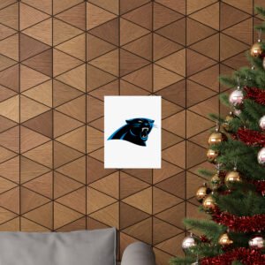 NFL Team Logos Carolina Panthers Painting Bedroom Living Room Wall Art Décor Matte Vertical Posters