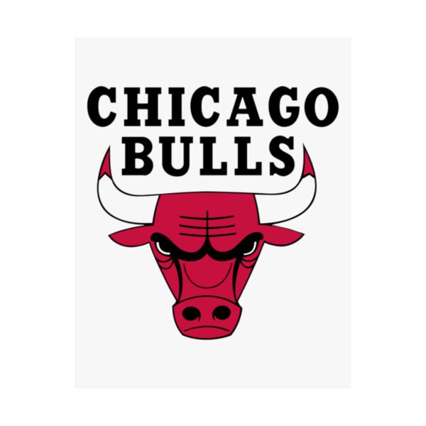 NBA Team Logos Chicago Bulls Painting Bedroom Living Room Wall Art Décor Matte Vertical Posters