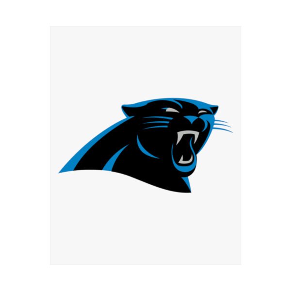 NFL Team Logos Carolina Panthers Painting Bedroom Living Room Wall Art Décor Matte Vertical Posters