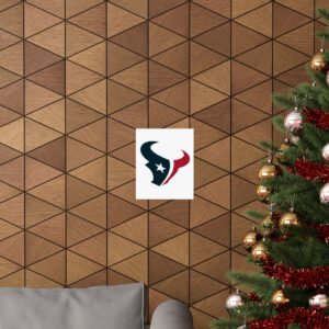 NFL Team Logos Houston Texans Painting Bedroom Living Room Wall Art Décor Matte Vertical Posters