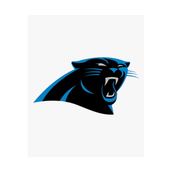 NFL Team Logos Carolina Panthers Painting Bedroom Living Room Wall Art Décor Matte Vertical Posters