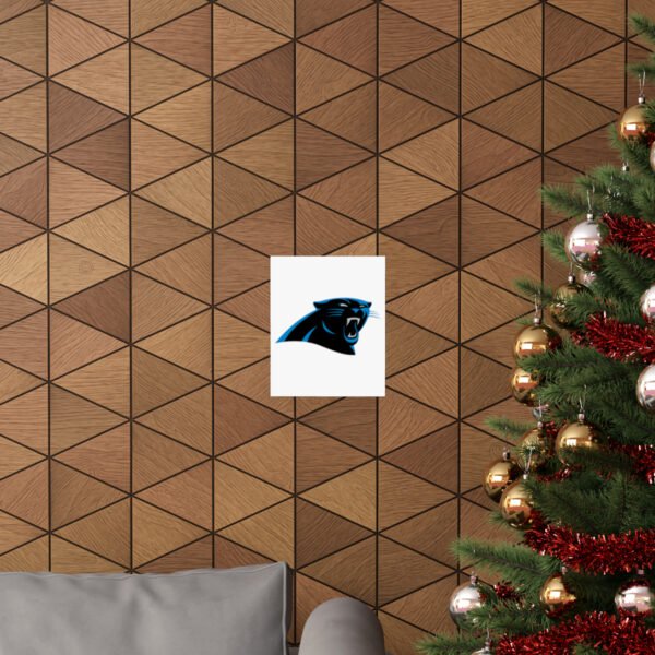 NFL Team Logos Carolina Panthers Painting Bedroom Living Room Wall Art Décor Matte Vertical Posters
