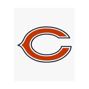 NFL Team Logos Chicago Bears Painting Bedroom Living Room Wall Art Décor Matte Vertical Posters