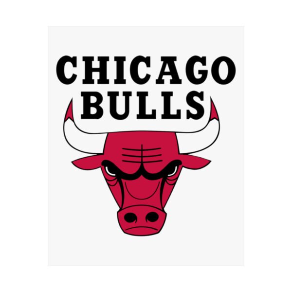NBA Team Logos Chicago Bulls Painting Bedroom Living Room Wall Art Décor Matte Vertical Posters