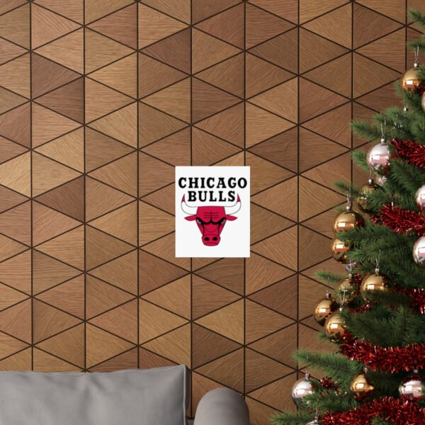NBA Team Logos Chicago Bulls Painting Bedroom Living Room Wall Art Décor Matte Vertical Posters