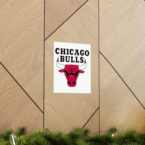 NBA Team Logos Chicago Bulls Painting Bedroom Living Room Wall Art Décor Matte Vertical Posters